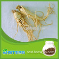 Alibaba manufacturer provide ginseng root extract with best quality